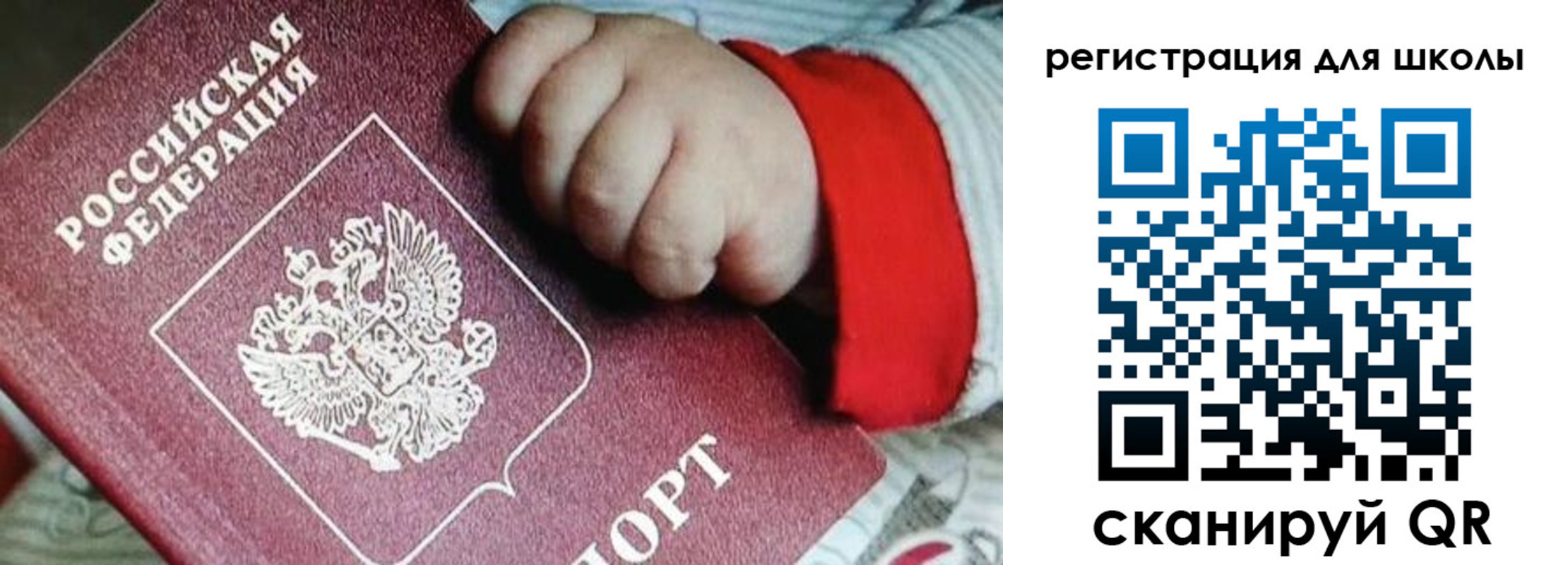 где прописаться в Коле